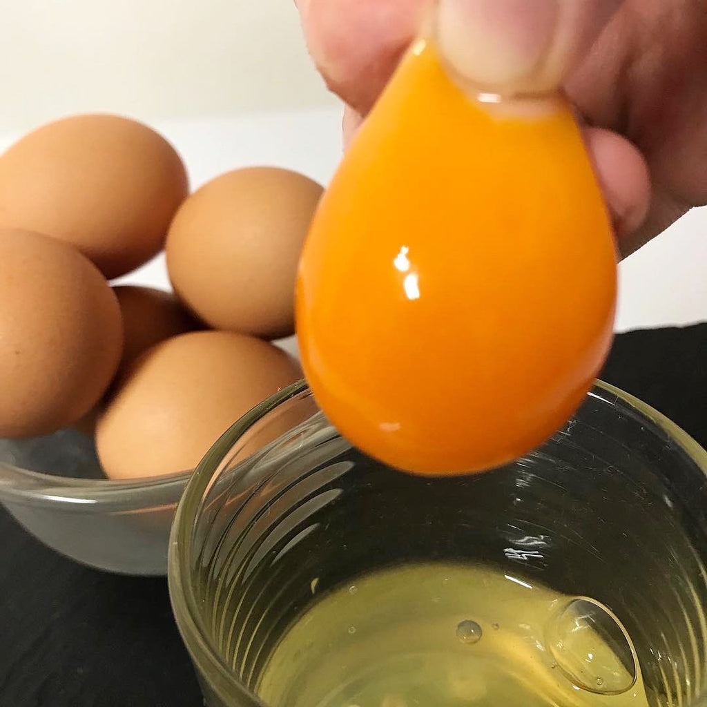 熊野養鶏さんの美豊卵 新鮮でこしがあるから卵黄がつかめるところの写真