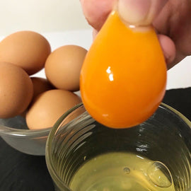 熊野養鶏さんの美豊卵 新鮮でこしがあるから卵黄がつかめるところの写真