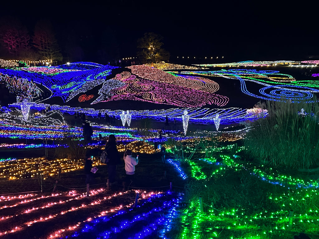 讃岐まんのう公園のイルミネーション2023年 緑、青、ピンク、紫、オレンジなど様々な色が煌めく景色。