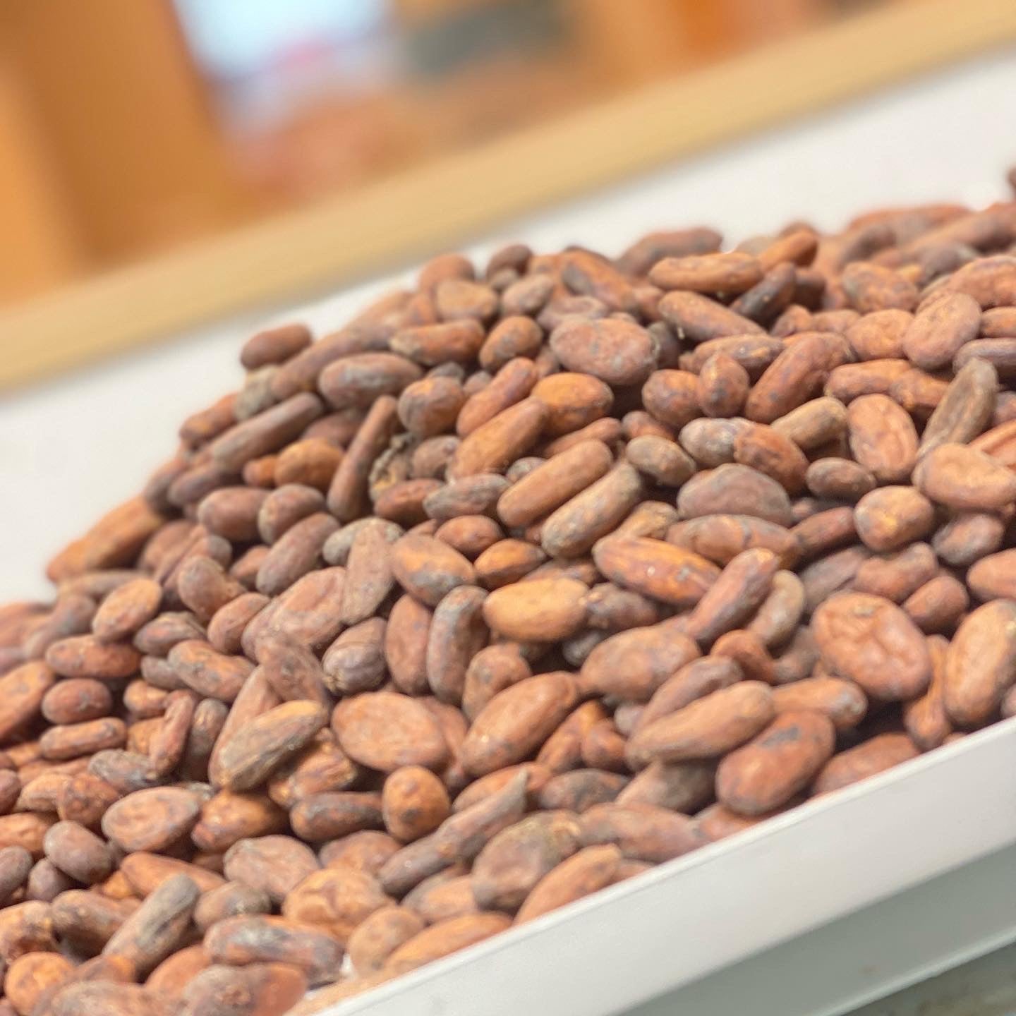 山盛りになったカカオ豆の写真