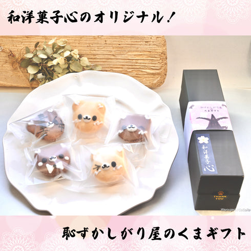 和洋菓子心オリジナル!恥ずかしがり屋のくまギフト。白と茶色のくまちゃんのマカロンが白いお皿に。焦茶色のギフト箱に桜の木でくまちゃんがかくれんぼしている様子を描いた帯を巻いている。ギフトの中身とギフト箱がよくわかる画像。