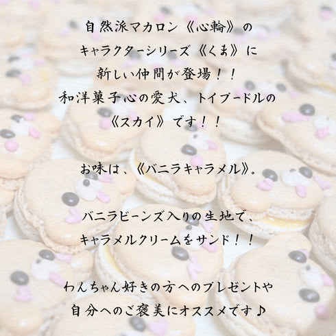 自然派マカロンにトイプードルマカロンが仲間入りしたことを伝える文章。沢山のトイプードルマカロンの上に文字を記載