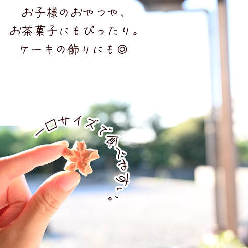 シナモンの心輪くっきい(マカロンラスク)を一粒手に持っている写真。