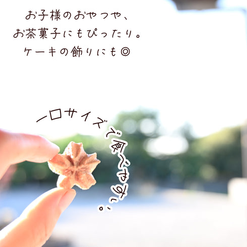 ハイビスカスの心輪くっきい(マカロンラスク)を一粒手に持っている写真。