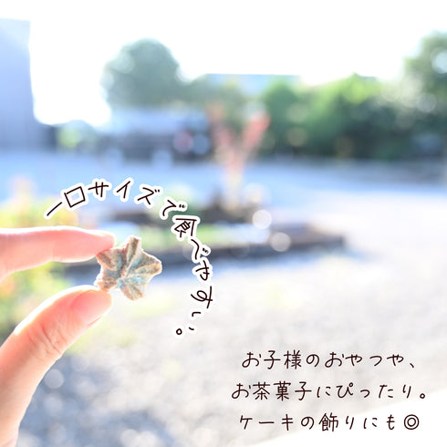 淡い水色をした塩バニラバタフライの心輪くっきい(マカロンラスク)を手に持っている写真