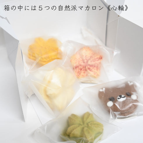 自然派マカロン♪お試しBOX【全国配送対応】
