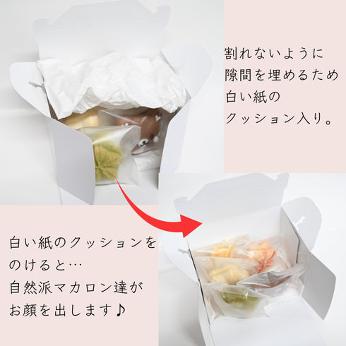 自然派マカロン♪お試しBOX【全国配送対応】